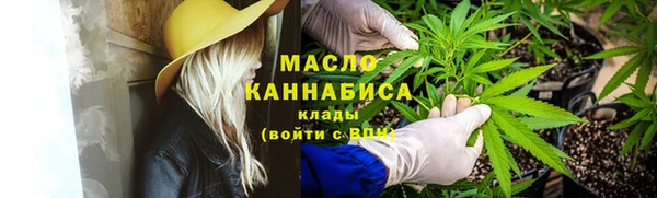 твердый Елабуга