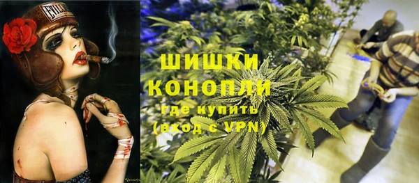 индика Дмитриев