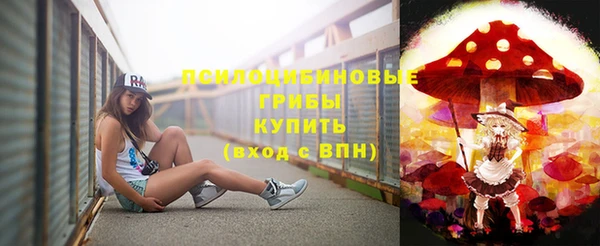 твердый Елабуга