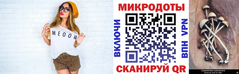 Галлюциногенные грибы Cubensis Урус-Мартан