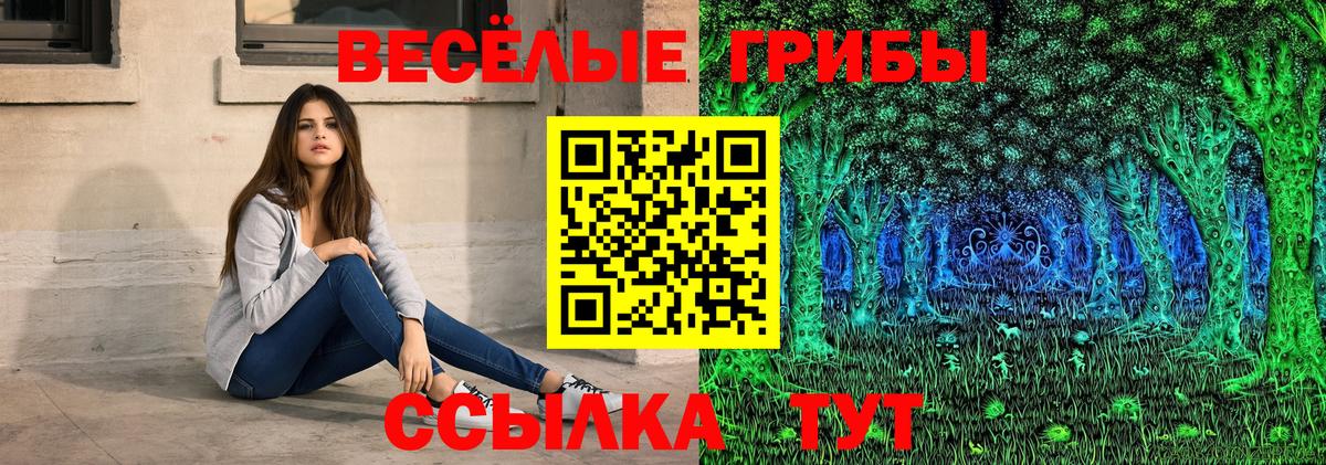 Урус-Мартан  купить закладку  Вход с VPN  Галлюциногенные грибы Psilocybe 