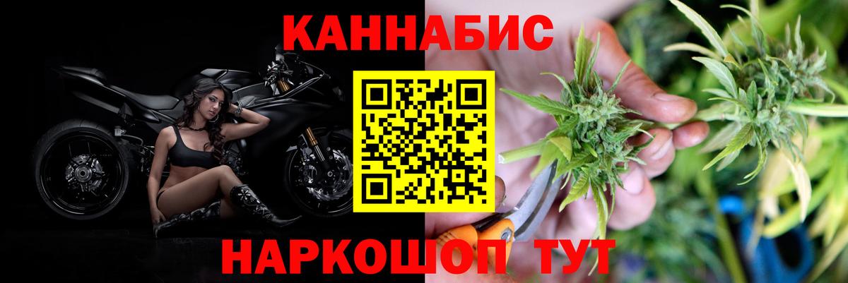 Конопля конопля  Конопля OG Kush  Шишки марихуана OG Kush  Вход с VPN  Конопля Bruce Banner  Урус-Мартан 